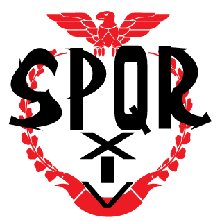 D3V1LSoD1C1PL3's emblem
