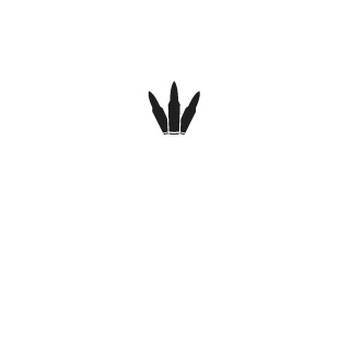 FoOX_rus's emblem