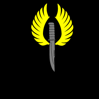 FearTheReaper993's emblem