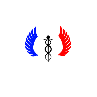 lejeanalain's emblem