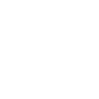 AndroidV's emblem