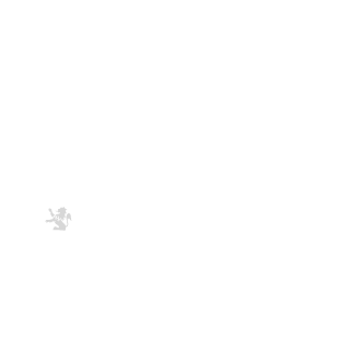 Munizjoaovitor's emblem