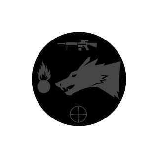 21punisher21's emblem
