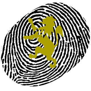 FlameHead006's emblem
