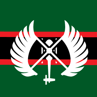 bricky111's emblem