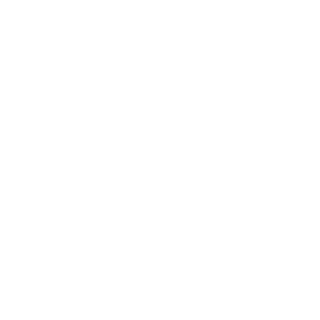 VINNNY_BTF's emblem