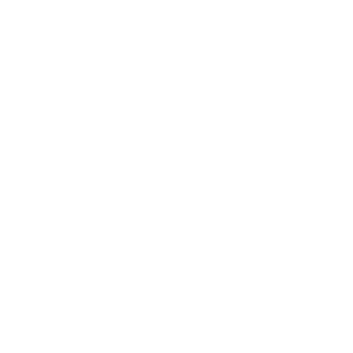 leonmendum's emblem