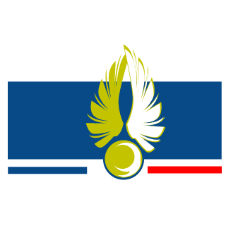 FKU_Gizm0's emblem