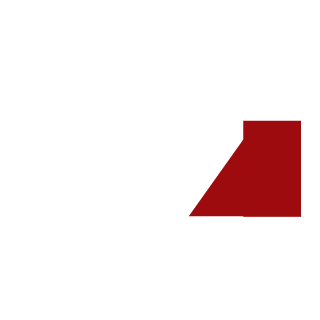 KingTony1111's emblem