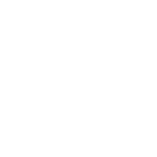 saddamgussein's emblem
