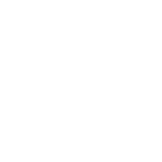 SilentSniper2's emblem