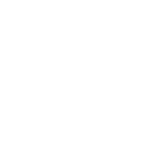 Insanedog's emblem