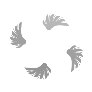 BigWarriorBalls's emblem