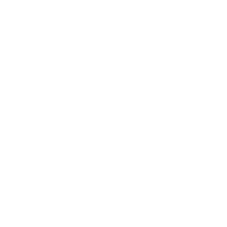 lfacchini's emblem
