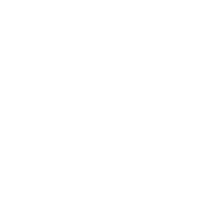 NdNfkR1's emblem