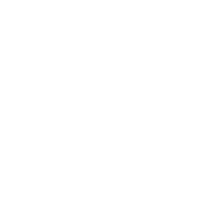 MELEEGOD_6974's emblem
