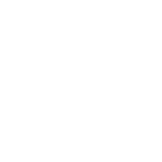 Pocoyobr6656's emblem
