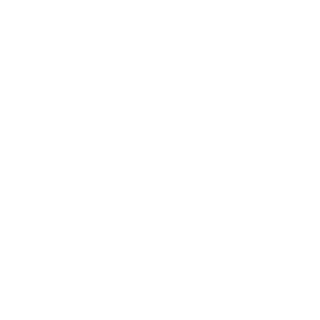 llLaPulgall's emblem