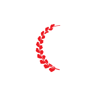 HUEVITO88's emblem