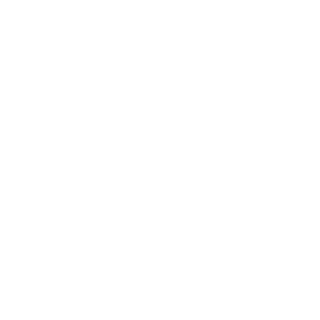 COLNELIUS_NOOT's emblem
