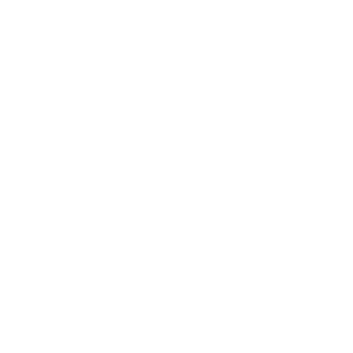Pxxxxfullanarchy's emblem