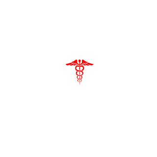 KampfTiger_WEN's emblem