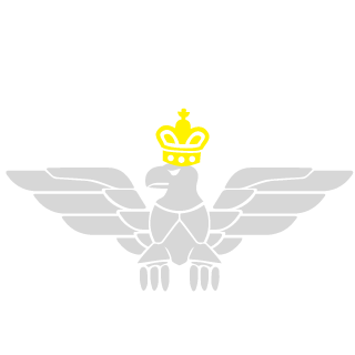 RAM23675's emblem