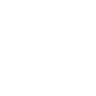 EHOT_45's emblem