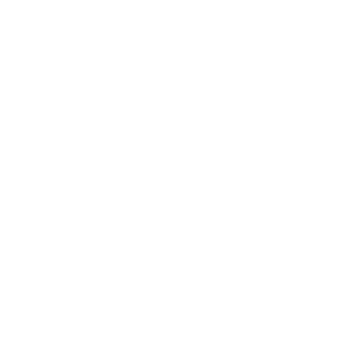 ndest's emblem