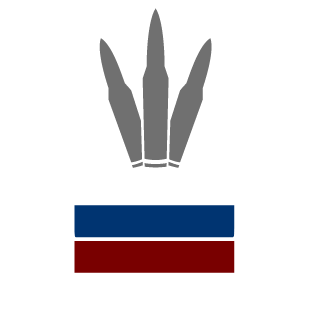 Mr_BrEyNdIT's emblem