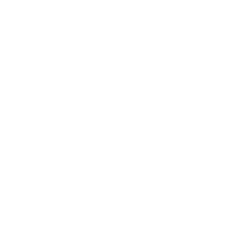 CarasuVirtus's emblem