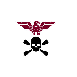 AceMax75's emblem