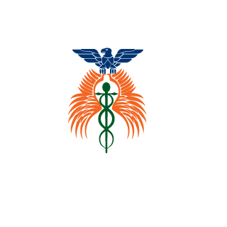 wolfit01's emblem