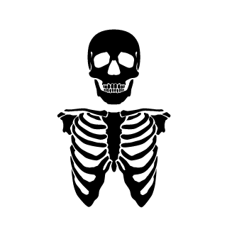 12ligne's emblem