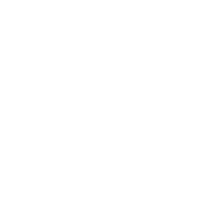 3v0l1nt3nt's emblem