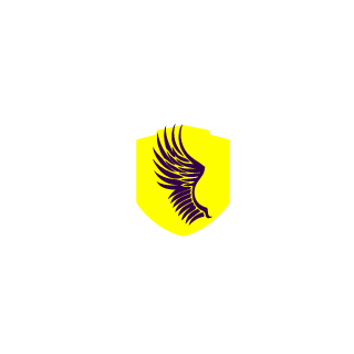 CHN-skies's emblem