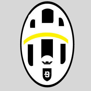 1fd30bc265cb2960's emblem