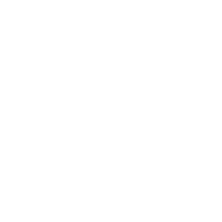 Mr_Bobby_Evving's emblem