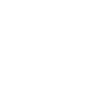 Shalsons's emblem