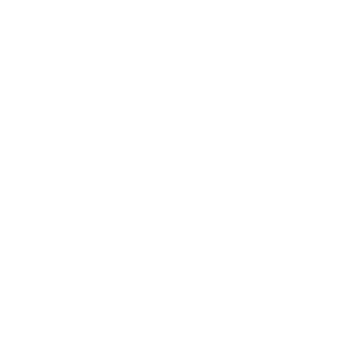 0070062's emblem