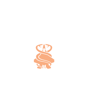 Professor_Aim's emblem