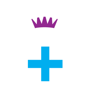 LadyHikari4313's emblem