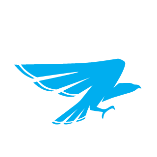 o0xv0o's emblem