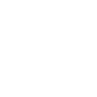 No1ita's emblem