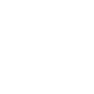 Navegante0101's emblem