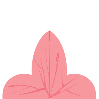Z1B1's emblem