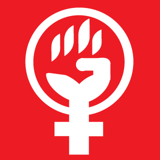 MAXNICA's emblem