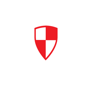 08Raider's emblem