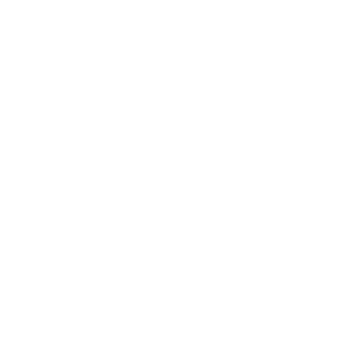 Dr-Shangool's emblem