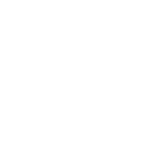 DrrFury's emblem